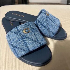 coach holly need these